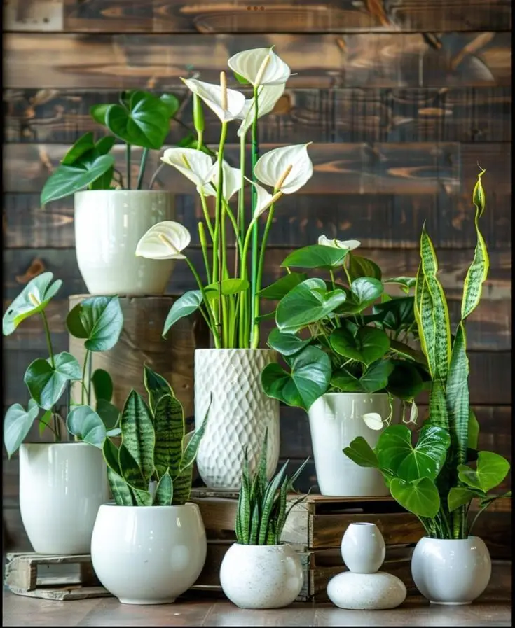 ac6334d6629cb66af373c57cd77ef63c